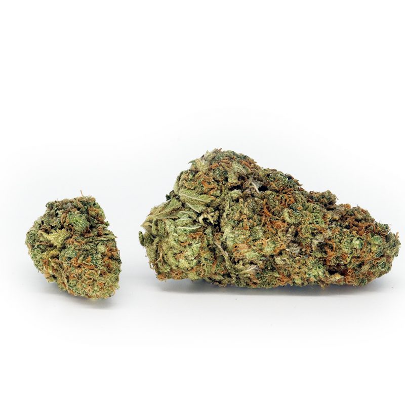 Kraken Strain | Buy Weed Canada Crystal Cloud 9