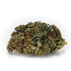 Lemon Skunk | Buy Cannabis Online Crystal Cloud 9