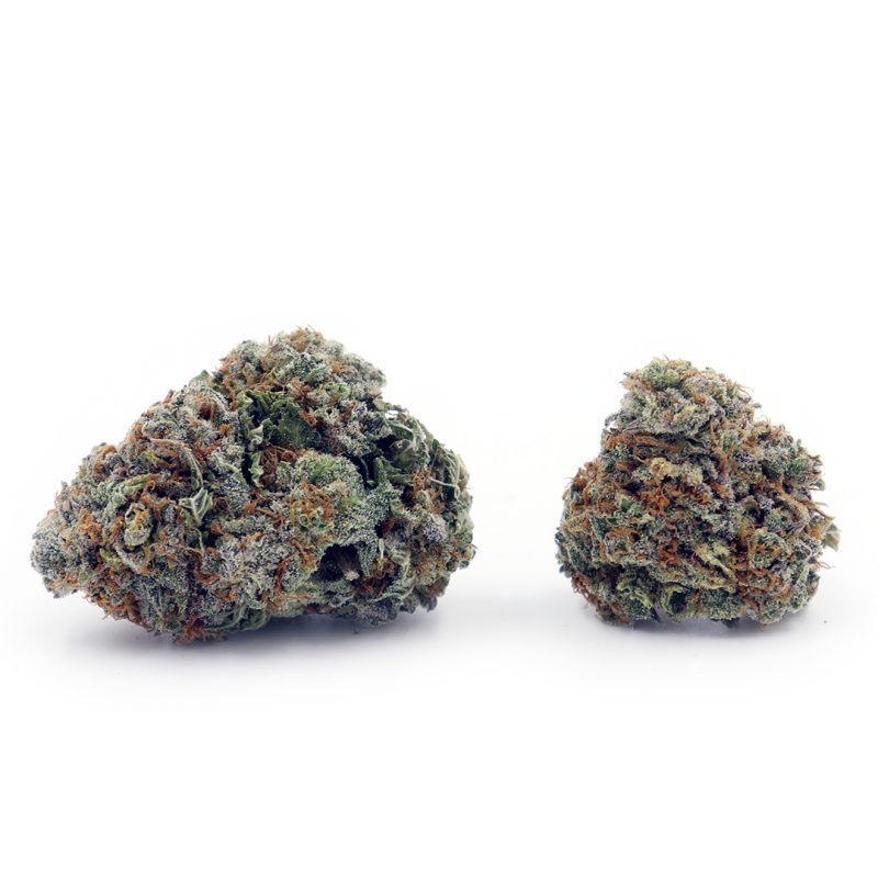 Pinkman Goo Strain | Buy Weed Canada Crystal Cloud 9