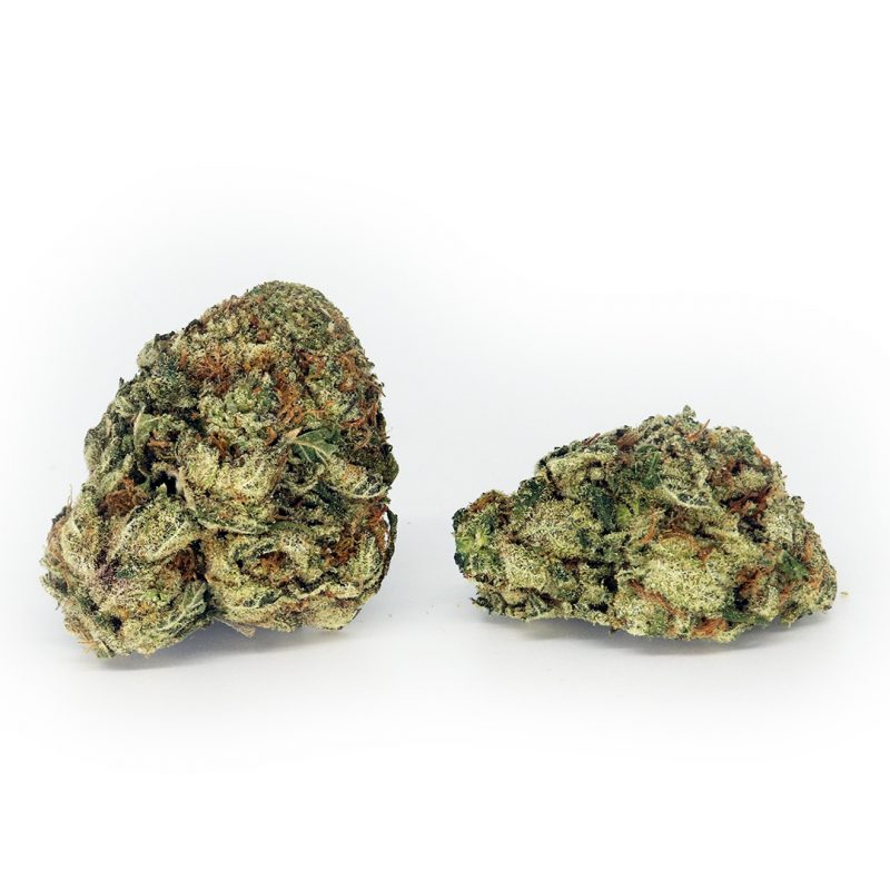 Purple Kush Strain | Buy Weed Canada Crystal Cloud 9