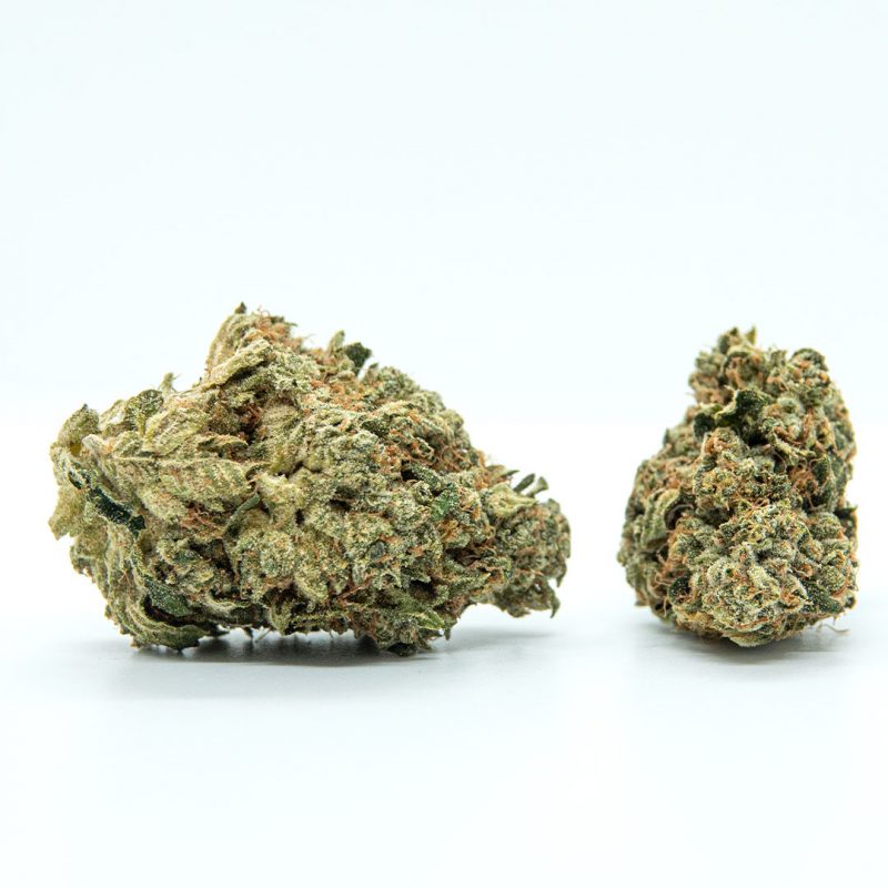 LA Kush Cake Strain | Buy Weed Canada Crystal Cloud 9