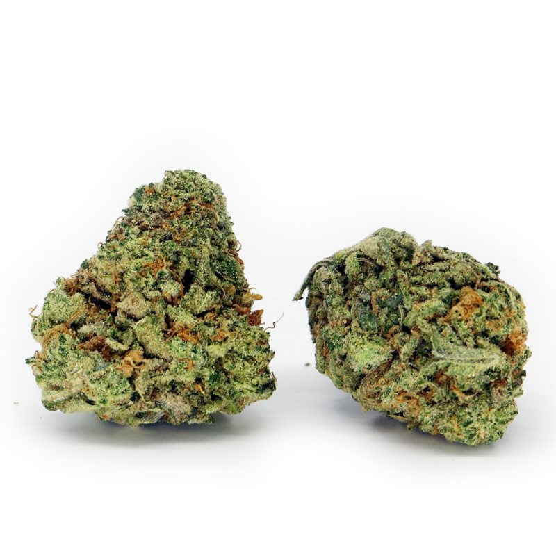 White Tahoe Cookies Strain | Buy Weed Canada Crystal Cloud 9