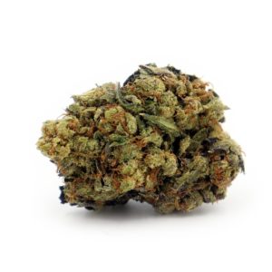 Black Tuna | Buy Marijuana Online Canada Crystal Cloud 9