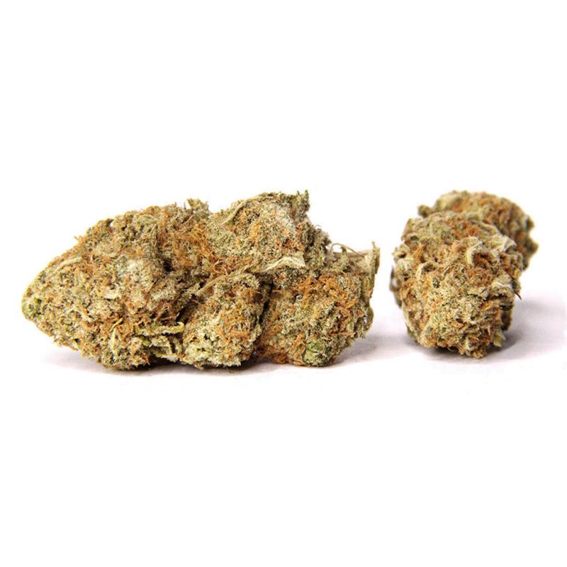 Amnesia Haze Strain | Buy Weed Online Canada Crystal Cloud 9