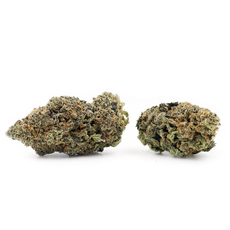 Critical Mass Strain | Buy Weed Online Canada Crystal Cloud 9