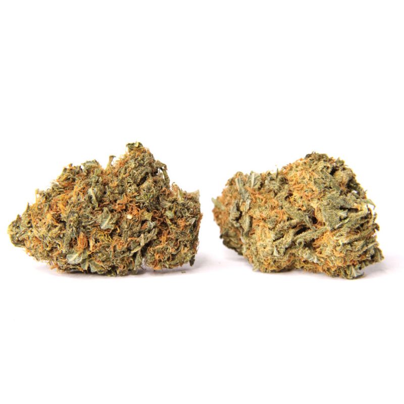 Orange Creamsicle Strain | Buy Weed Online Canada Crystal Cloud 9