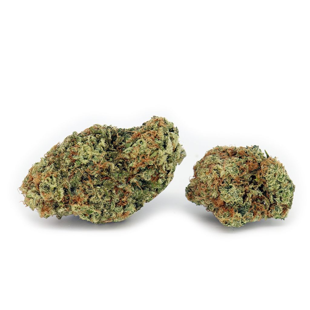 Best Strongest Sativa Strain Moby Dick