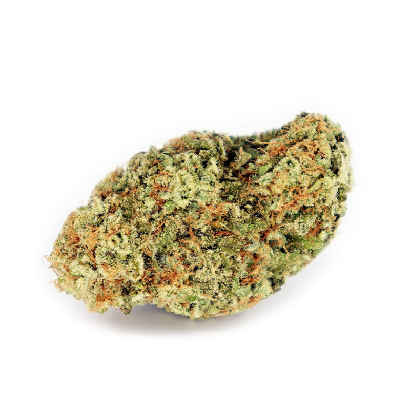 Moby Dick | Buy Cannabis Canada Crystal Cloud 9