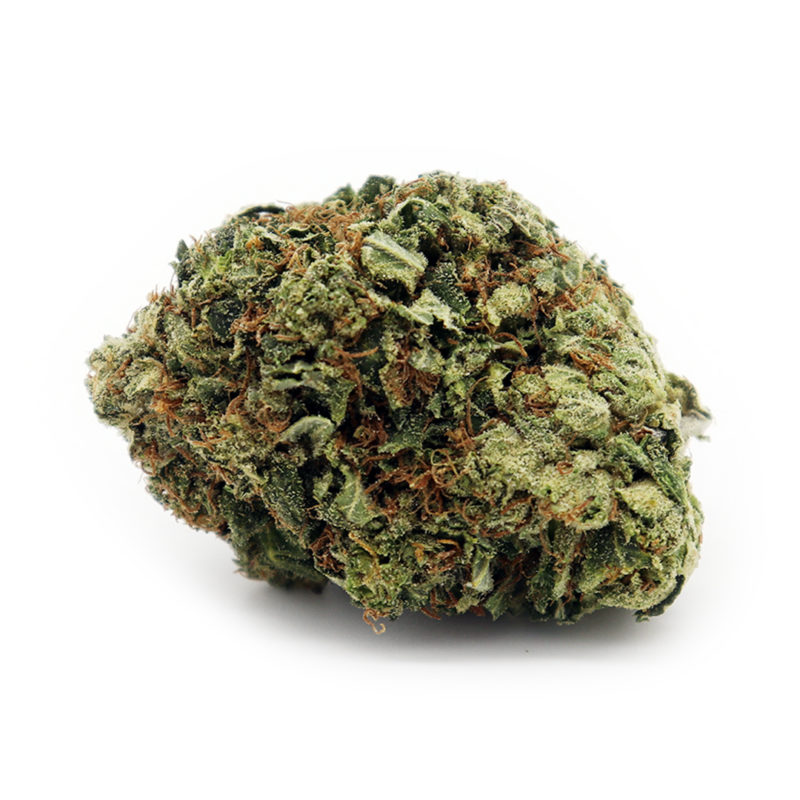 Pink Octane | Shop Cannabis Indica | Crystal Cloud 9