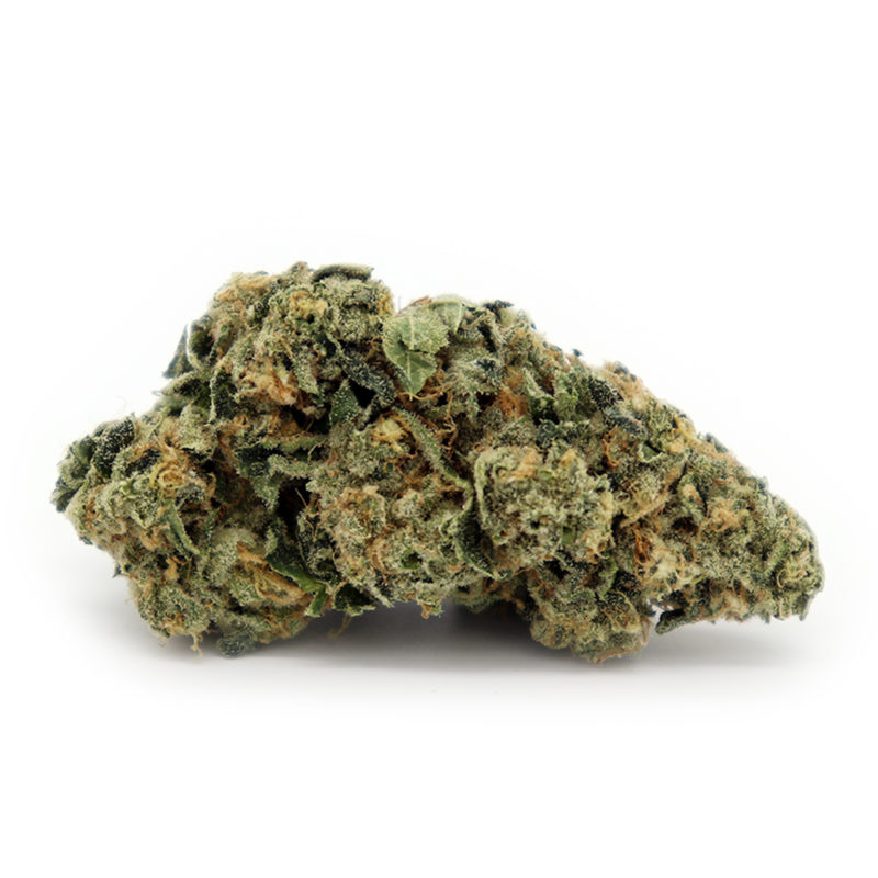 White Russian | Shop Hybrids Online | Crystal Cloud 9