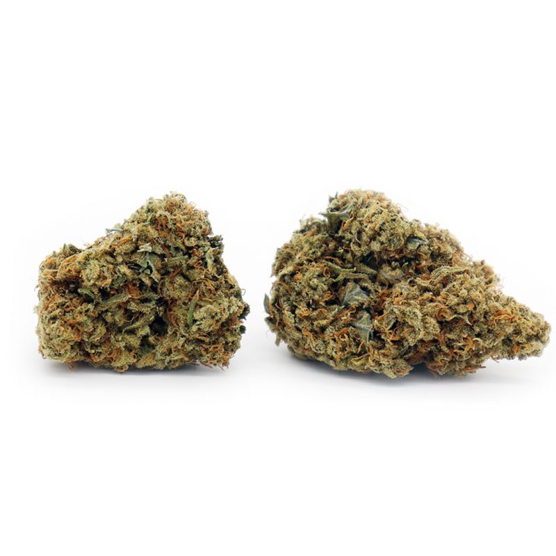 Citrus Kush Strain | Buy Weed Online Canada Crystal Cloud 9