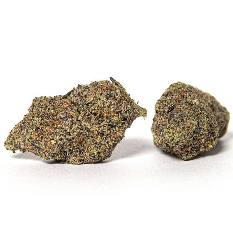 Mimosa Champagne Strain | Buy Weed Online Canada Crystal Cloud 9