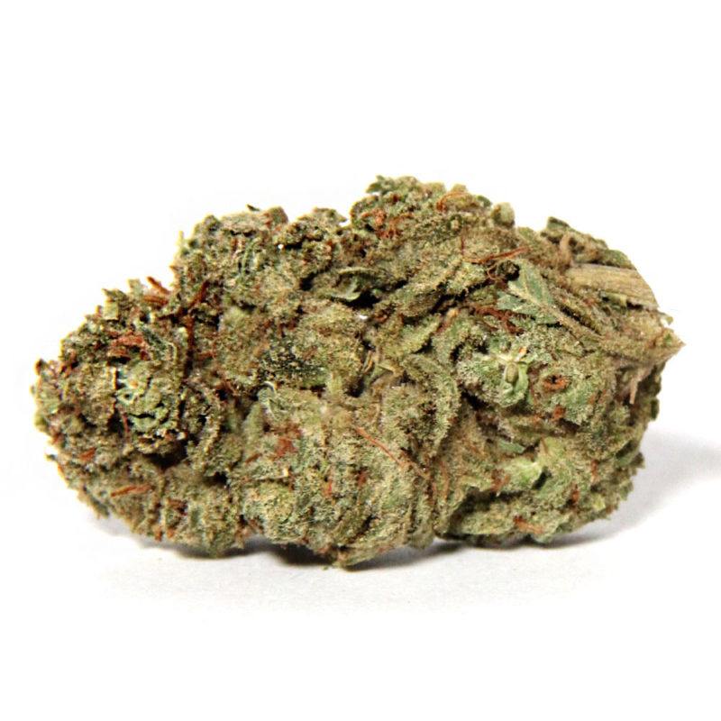 NY Cheese | Buy Cannabis Online Crystal Cloud 9