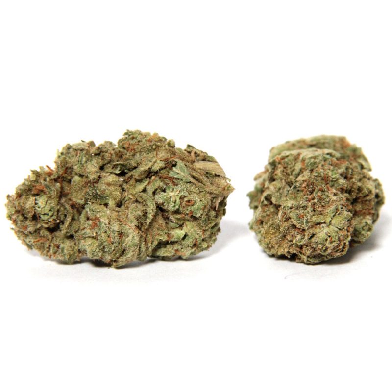 NY Cheese Strain | Buy Weed Online Canada Crystal Cloud 9