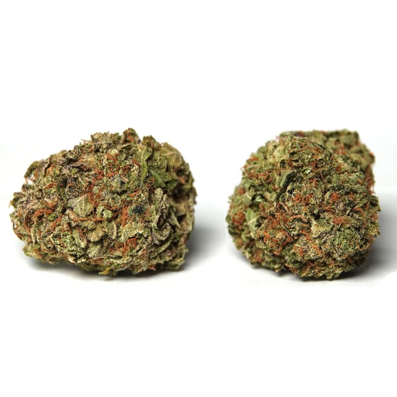 Purple Punch Strain | Buy Weed Online Canada Crystal Cloud 9