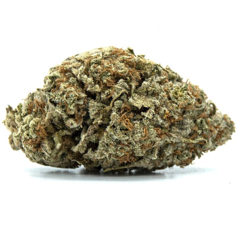 9 Pound Hammer | Buy Indicas Canada | Crystal Cloud 9