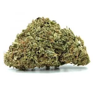 Animal Cookies | Buy Indicas Canada | Crystal Cloud 9