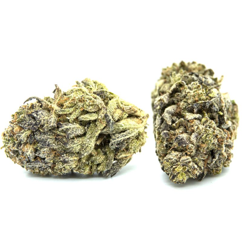 Mendocino Purps Strain | Buy Weed Canada Crystal Cloud 9