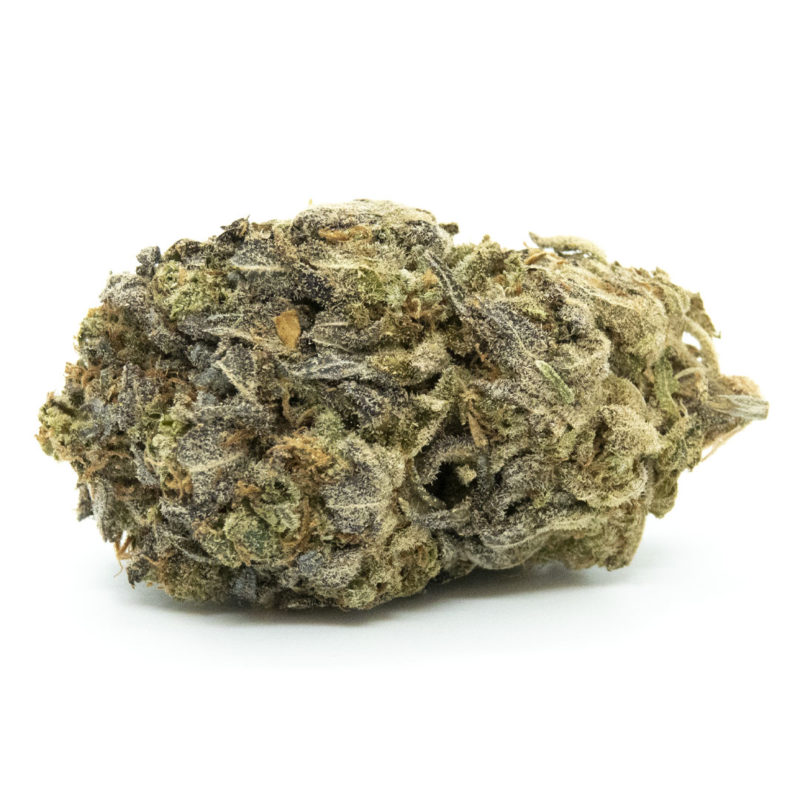 Tropicana Cookies | Buy Cannabis Online Crystal Cloud 9