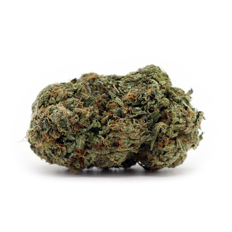 Pine Tar Kush | Buy Cannabis Online Crystal Cloud 9