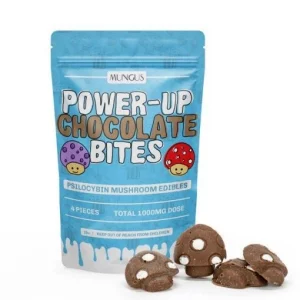 Mungus Power-Up Chocolate Bites
