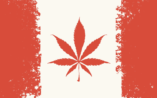 Why Does Canada Have the Best Weed Law? A Review