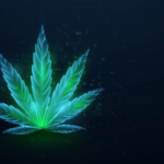 Untitled 4 Why There are So Many Names for Marijuana