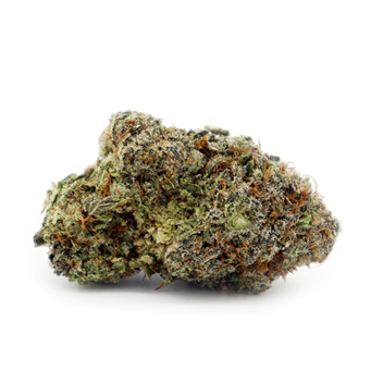 22 19 Top Indica Strains You Should Try Indica Strains