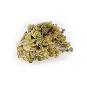 Velvet Hammer Indica Strain