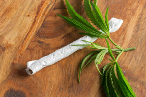 medical marijuana When was our beloved Joint Actually born, A Joint History of Rolling Papers