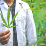 medical marijuana alternative herbal medicine concept 7 Ways Marijuana Can Improve Your Life