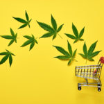 shopping trolley leaves marijuana yellow background legal cannabis concept New to Herb? A Beginner’s Guide to Using Cannabis in Canada Magic Mushrooms