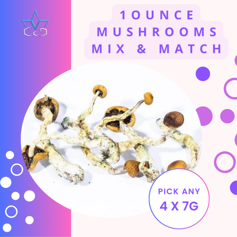 28 Grams Mix and Match Magic Mushrooms