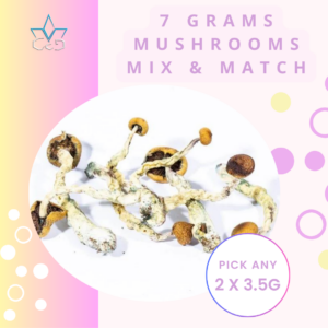 7 Grams Mix and Match Magic Mushrooms