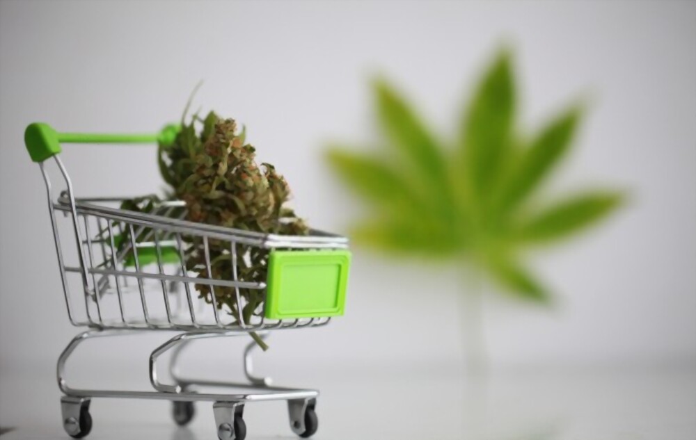 Top 10 Tips for Finding the Best Cannabis Products at the Best Prices