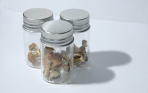 Storing Magic Mushrooms Properly 