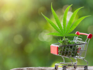 Shopping cart with cannabis flower and leaf represents buying quality cannabis