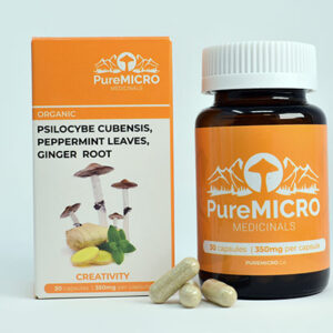 Pure Micro Medicinals Creativity Capsules 30