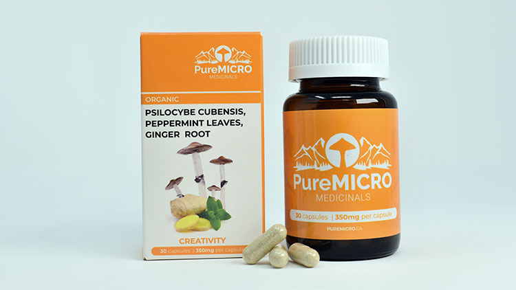 Pure Micro Medicinals Creativity Capsules 30