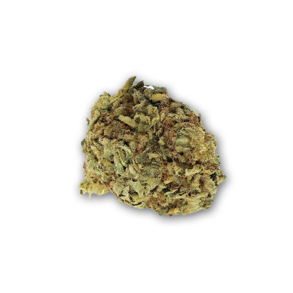 Purple Chemo Pure Indica Strain Buy Cannabis Online