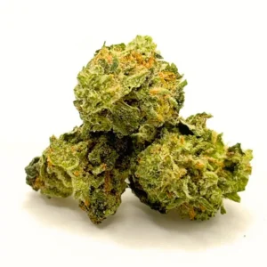 Orange Crush AA