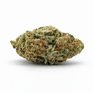 DURBAN POISON AAA STRAIN