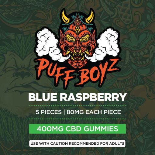 Puff Boyz 400mg Blue Raspberry CBD Gummies