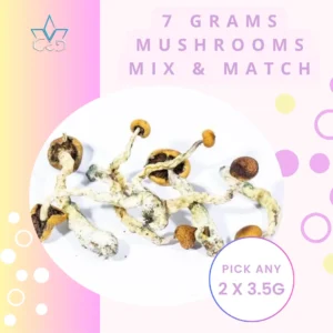 7 Grams Mix and Match Magic Mushrooms