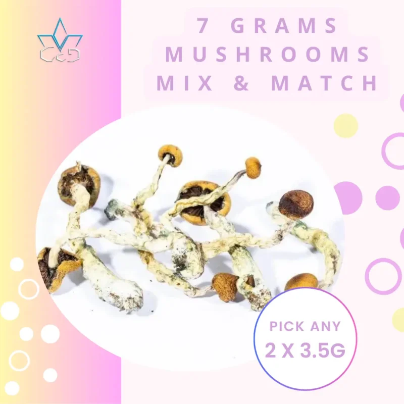 7 Grams Mix and Match Magic Mushrooms 7 Grams Mix and Match Magic Mushrooms 7 Grams Mix and Match Magic Mushrooms