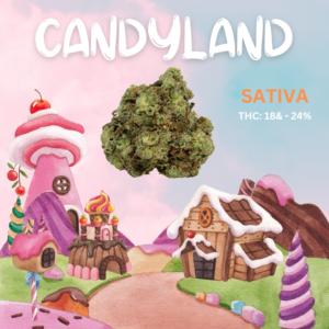 Candyland Strain