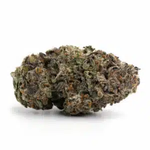 Platinum Truffle Strain