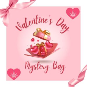 v-day mystery bag