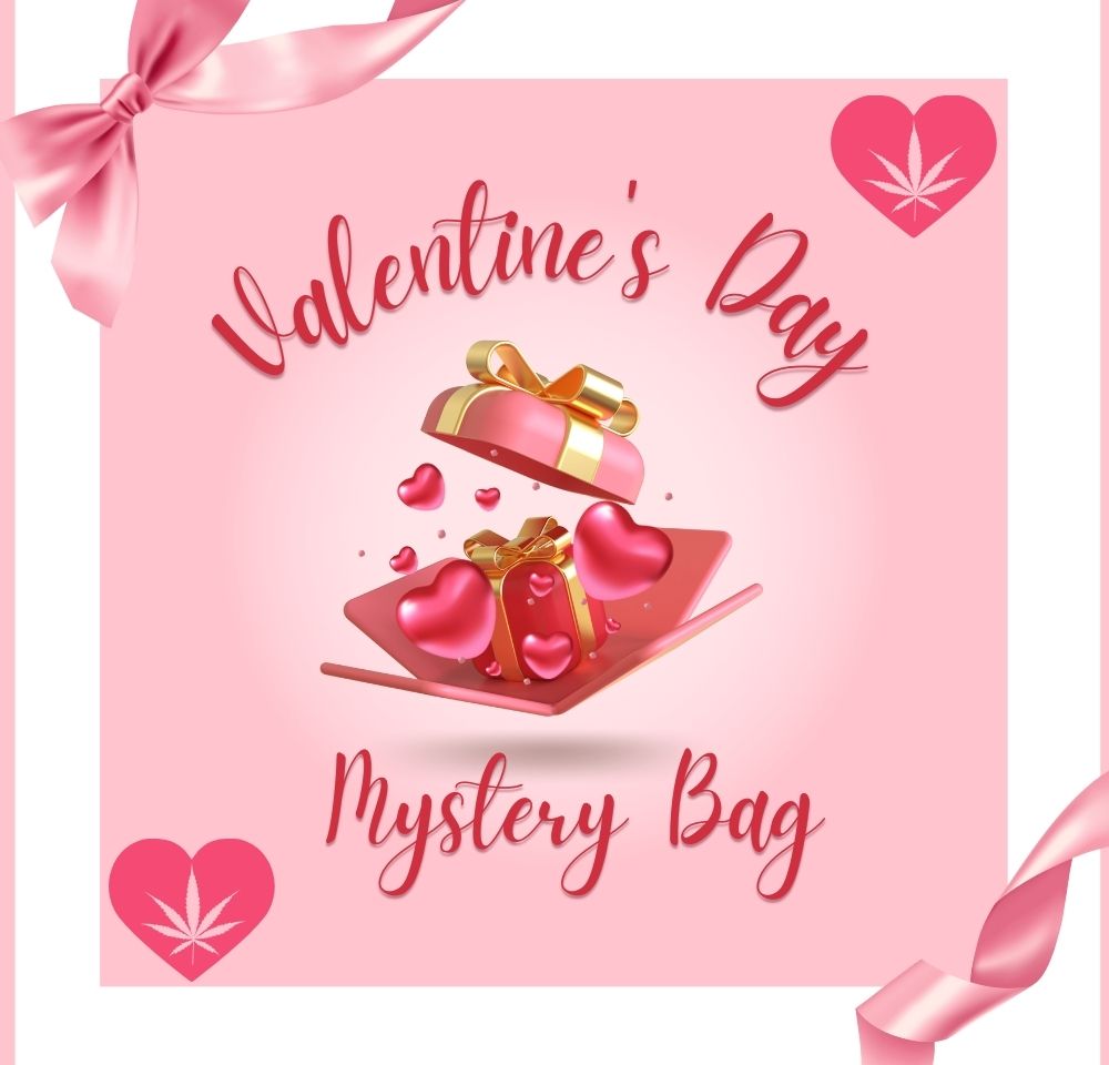 v-day mystery bag