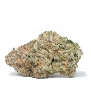 WET DREAM STRAIN